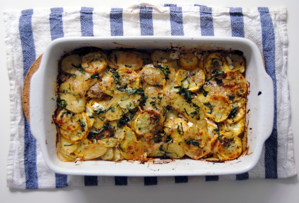 squash gratin above